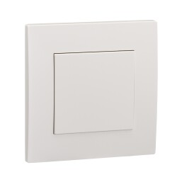 1 GANG BLANK PLATE - Schneider Electric