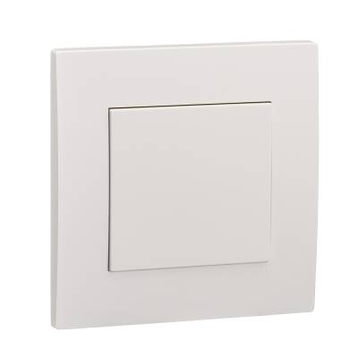 1 GANG BLANK PLATE - 1