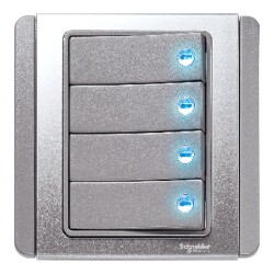 10A 4G 2W SWITCH - Schneider Electric