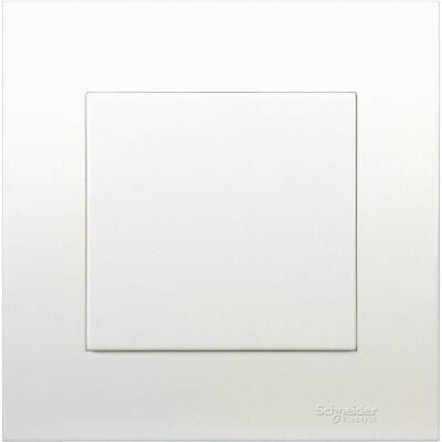 1G BLANK PLATE VIVACE - 1