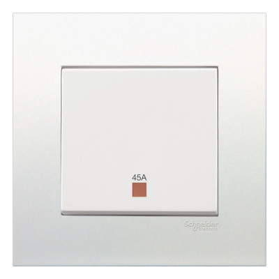 45A 1 GANG DOUBLE POLE SWTICH WITH NEON VIVACE - 1