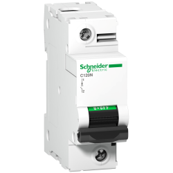 MCB C120N 2P 100A C - Schneider Electric