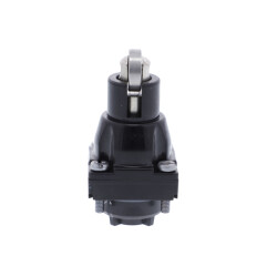 STEEL ROLLER PLUNGER HEAD - Schneider Electric